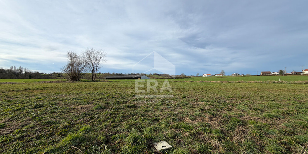 terrain à ST PALAIS (64120)